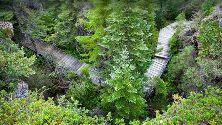 Serene Pathways in Mingan Archipelago Nature Reserve wallpaper