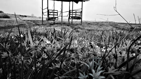 Serene Abandonment in Nature's Embrace wallpaper