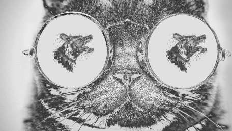 Cool Cat with Quirky Glasses wallpaper