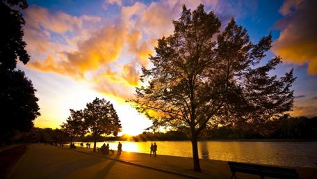 Serene Sunrise by the Lakeside Walkway wallpaper