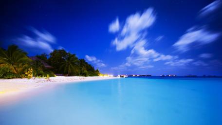 Tropical Paradise Under the Stars wallpaper