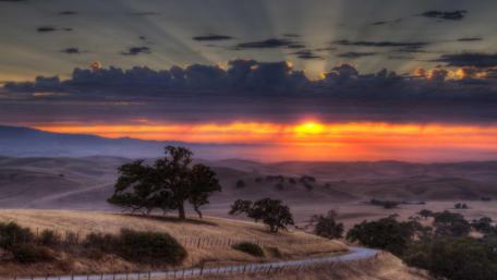Serene Sunset Over Rolling Hills wallpaper