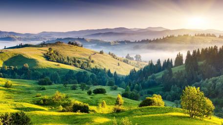 Morning Glory in Misty Hills wallpaper