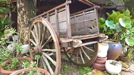 Rustic Charm of a Vintage Cart in Nature's Embrace wallpaper
