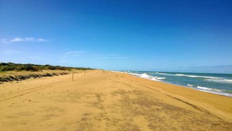 Serene Tropical Beach View Under Clear Blue Skies wallpaper