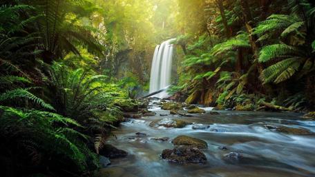Enchanting Waterfall in Great Otway National Park wallpaper