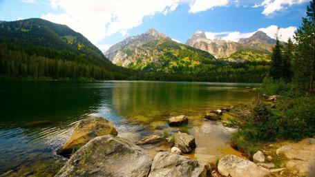 Tranquil Mountain Lake View with Stones and Lush Forests wallpaper