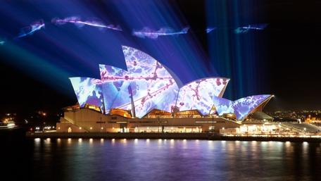 Vibrant Sydney Opera House Illuminated at Night wallpaper