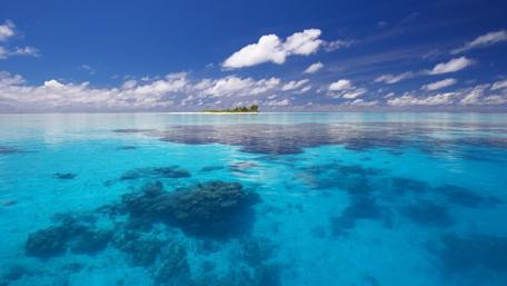 Tranquil Ocean Escape wallpaper