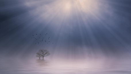Twilight Serenity Over a Mystical Lake wallpaper