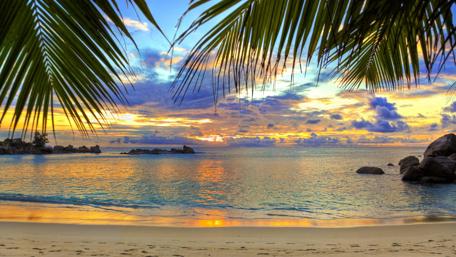 Tropical Sunrise Paradise at the Beach wallpaper
