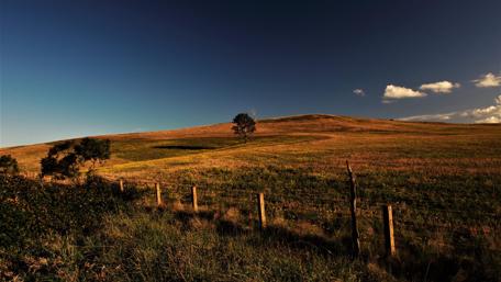 Tranquil Meadow Under a Blue Sky wallpaper
