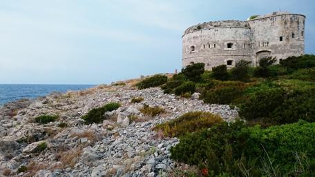 Historic Coastal Castle Overlooking Montenegro's Scenic Shoreline wallpaper