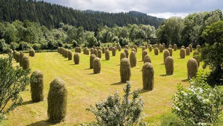 Serene Traditional Haystacks in Czech Nature wallpaper