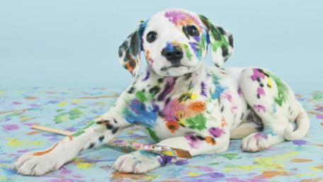 Colorful Artistic Puppy with Paint Palette wallpaper