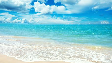 Serene Summer Seashore Bliss wallpaper