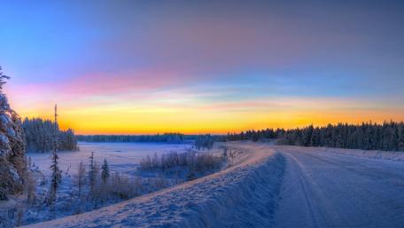 Serene Winter Sunrise Over Snowy Pines wallpaper