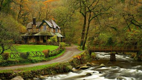 Enchanted Forest Cottage Retreat wallpaper