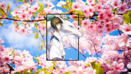 Mystical Harmony of Cherry Blossoms and Spirit Wolf wallpaper