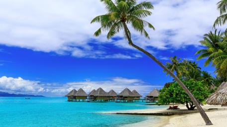 Tropical Paradise in Bora Bora wallpaper
