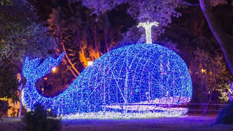 Whimsical Whale Illuminated in the Park wallpaper