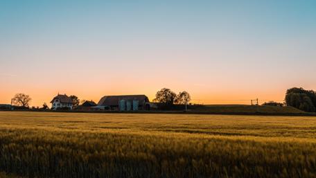 Serene Sunset Over Golden Fields wallpaper