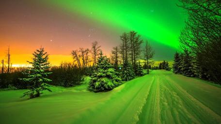 Dazzling Aurora Over Snowy Path wallpaper