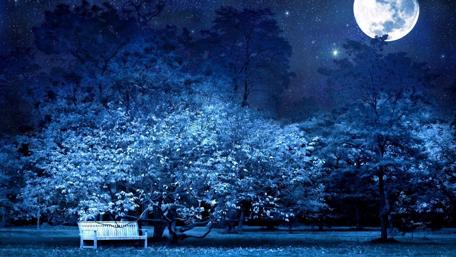 Moonlit Serenity in the Park wallpaper