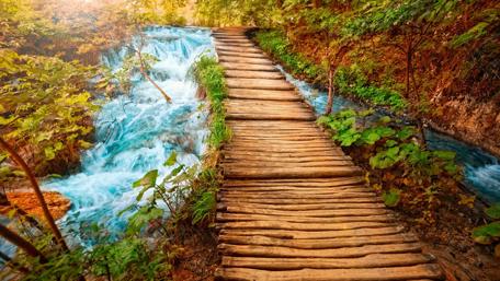 Pathway to Serenity: A Waterfall's Symphony in Nature's Embrace wallpaper