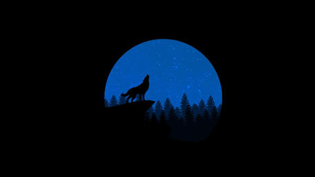 Midnight Howl Under the Moon wallpaper