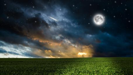 Magical Night Sky Over Verdant Field wallpaper