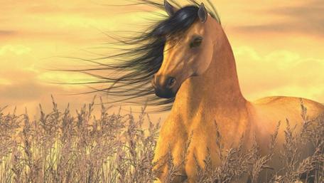 Majestic Golden Horse at Sunset wallpaper