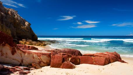 Summer Serenity at the Seashore wallpaper