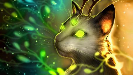 Warrior Cat of the Enchanted Realm wallpaper