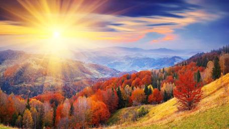 Golden Rays Over Autumn Hillside wallpaper