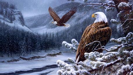Majestic Eagles Soar Over Snowy Landscape wallpaper