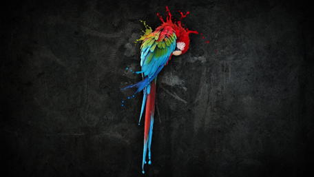 Vibrant Parrot Art in Bold Colors wallpaper