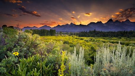 Golden Sunset Over Wyoming Landscape wallpaper