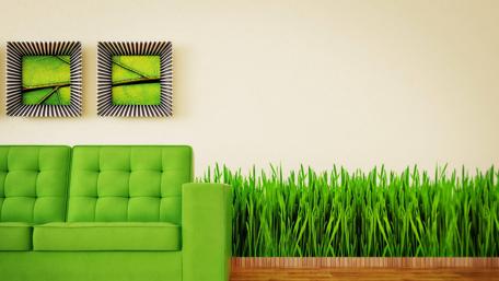 Vibrant Green Interior Design Inspiration wallpaper