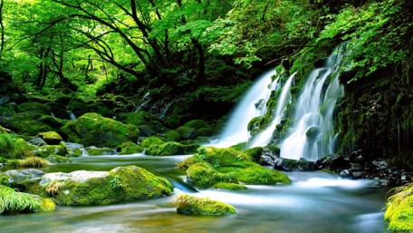 Serenity of a Lush Waterfall Scene wallpaper