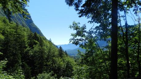 Majestic Mountain View Surrounded by Lush Greenery wallpaper