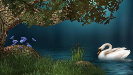 Tranquil Swan on a Rainy Day wallpaper