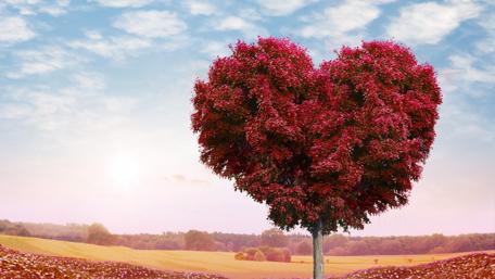 Heart-Shaped Tree in Romantic Landscape wallpaper