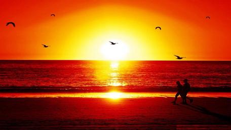Golden Sunset Embrace by the Beach wallpaper