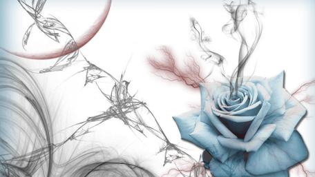 Ethereal Rose in Abstract Whirls wallpaper