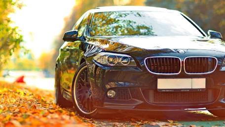 Sleek BMW Amid Autumn Leaves wallpaper