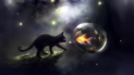 Mystical Encounter Under Starlit Skies wallpaper