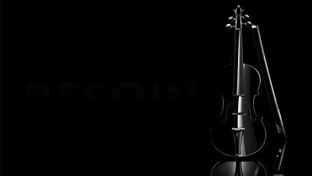 Elegance of the Violin's Shadowy Realm wallpaper