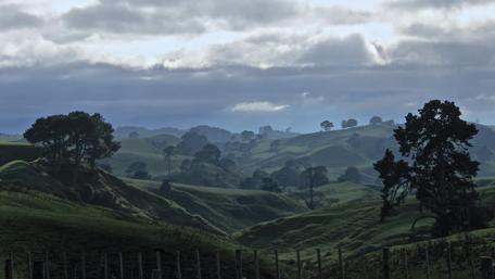 Rolling Hills Under a Moody Sky wallpaper