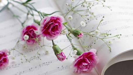Blossoms in Harmony: A Musical Fantasy wallpaper